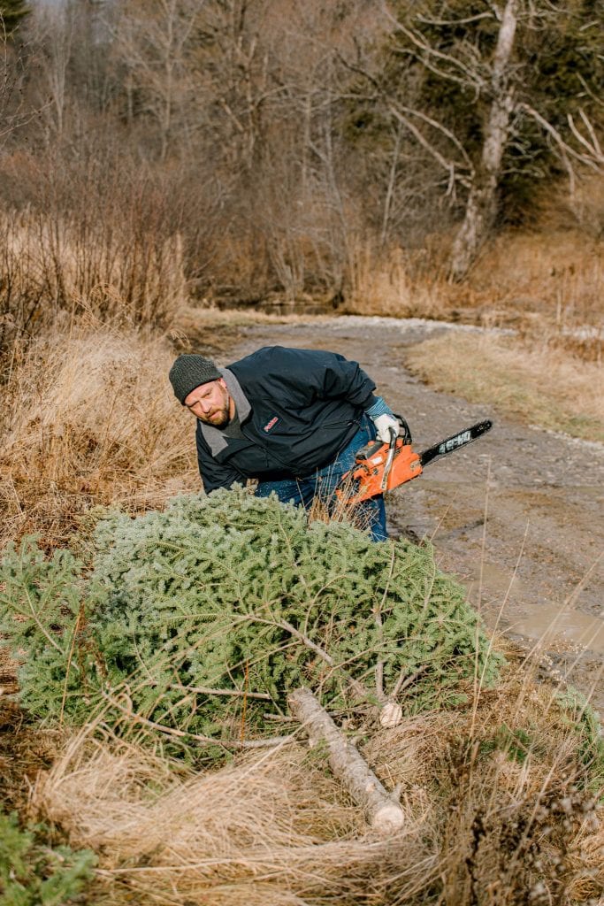 Dad, chain saw, Christmas Tree