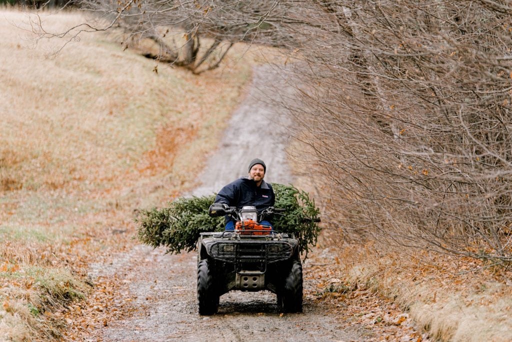 Dad bringing the tree back on the 4-wheeler, looking at the camera