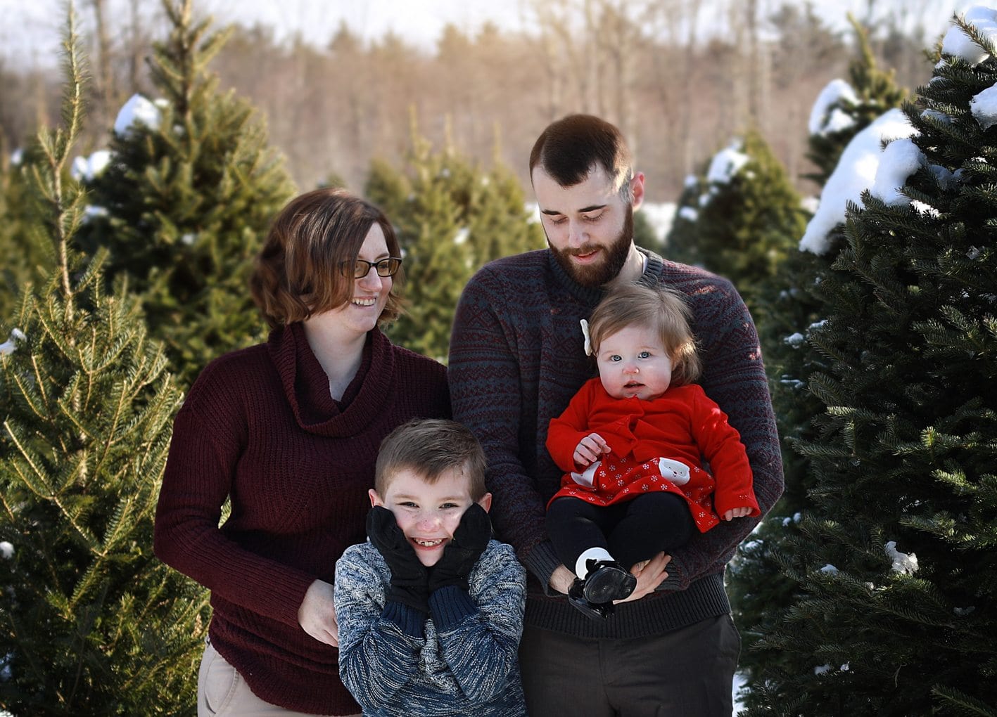 Christmas Tree Farm Photography Session in Maine