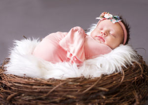 Newborn | Maine Newborn Photographer | Little Owls