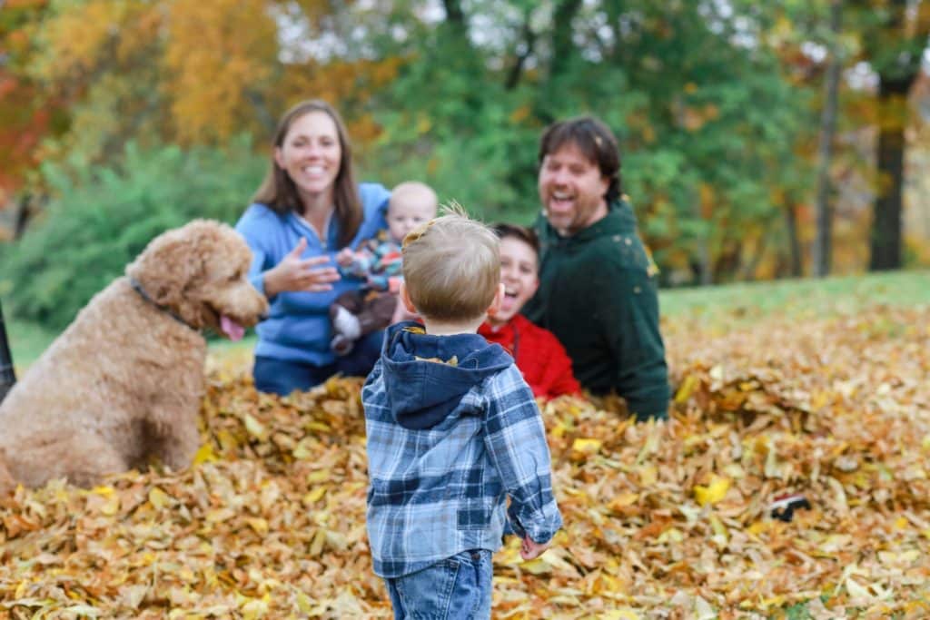 family in bangor maine playing in the leaves with a toddler looking at them