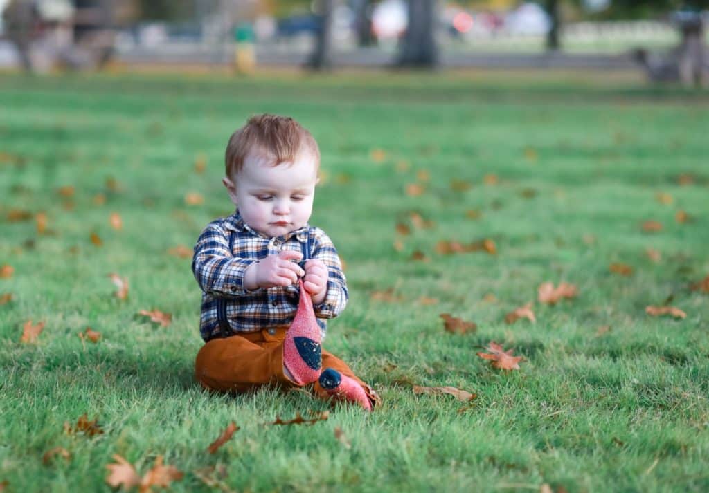 little brother in plaid sitting in the grass in the park playing with leaves