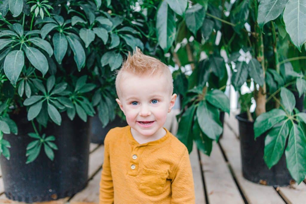 little boy looking at the camera in a greenhouse