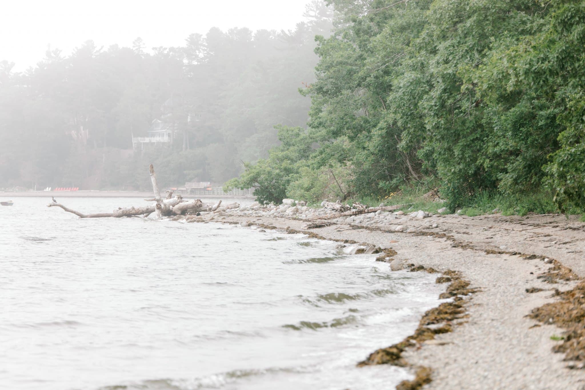 sandy beach