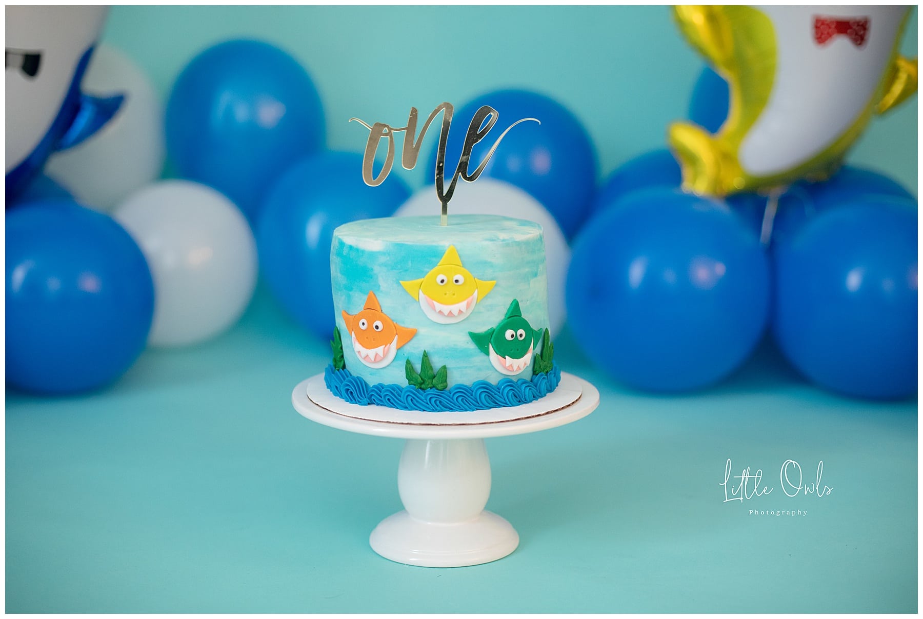 Baby Shark cake for one year cake smash